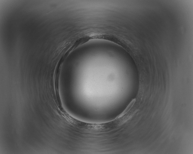 X0000054360288200508011228