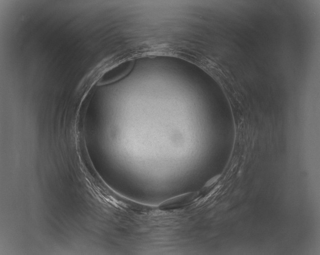 X0000054360290200508011228