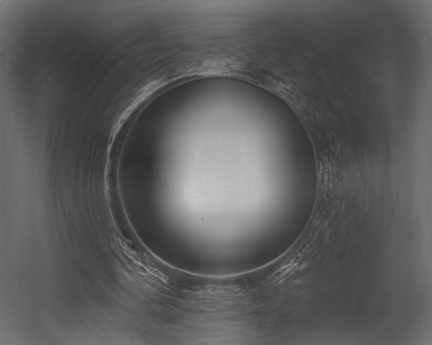 X0000054360292200508011228