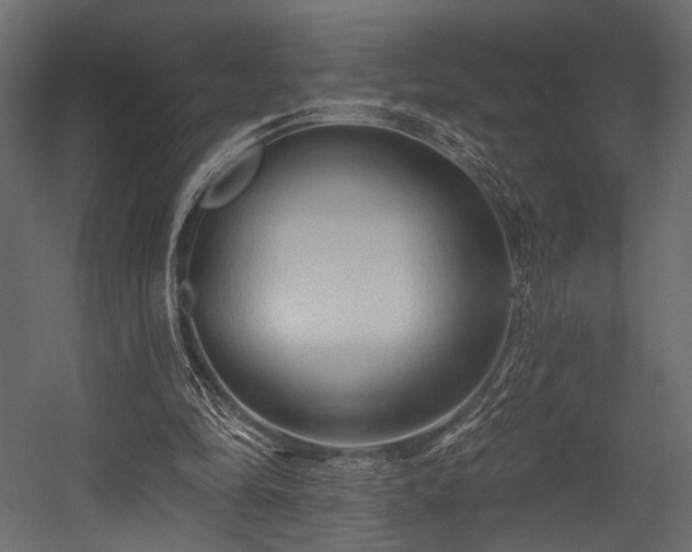 X0000054360294200508011228