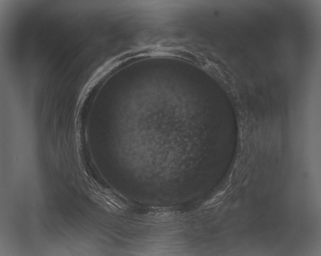 X0000054360295200508011228