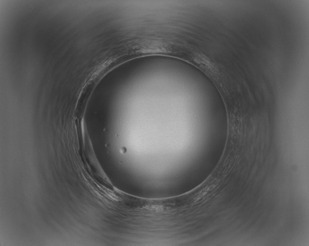 X0000054360298200508011227