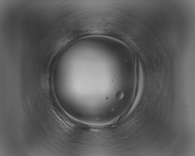 X0000054360299200508011227