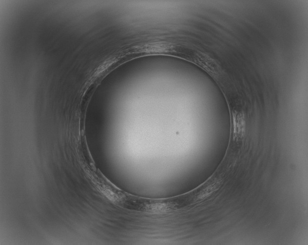 X0000054360301200508011227