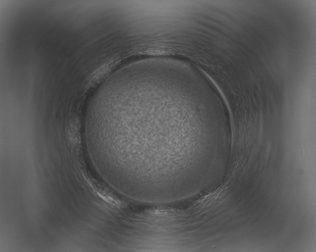 X0000054360303200508011227