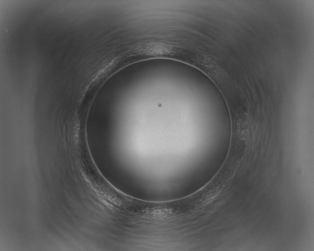 X0000054360304200508011227