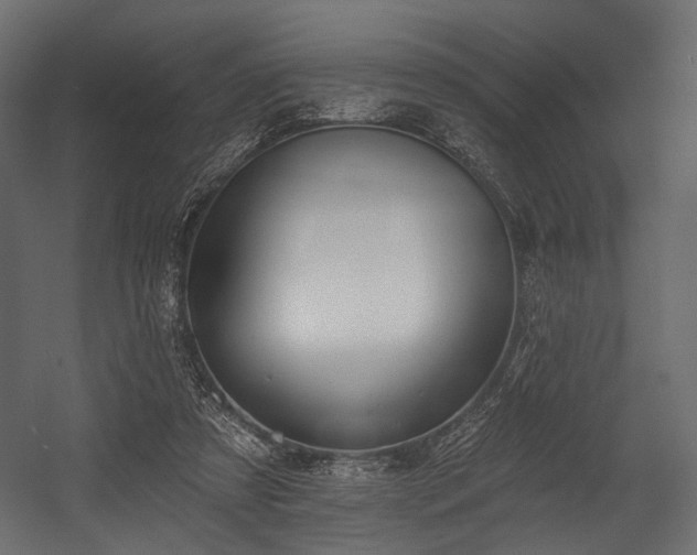 X0000054360305200508011227