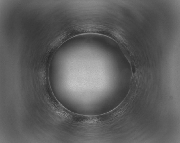 X0000054360306200508011227
