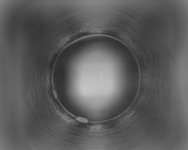 X0000054360309200508011227