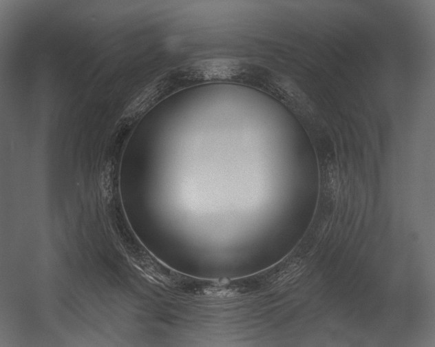 X0000054360311200508011227