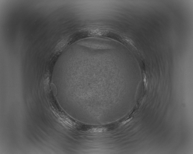 X0000054360314200508011227