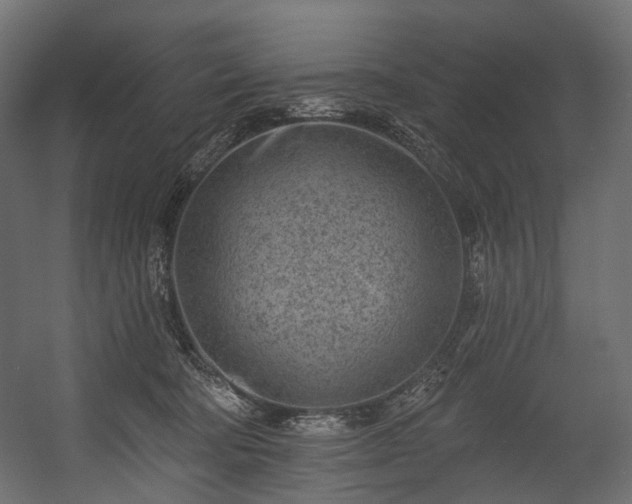 X0000054360322200508011227