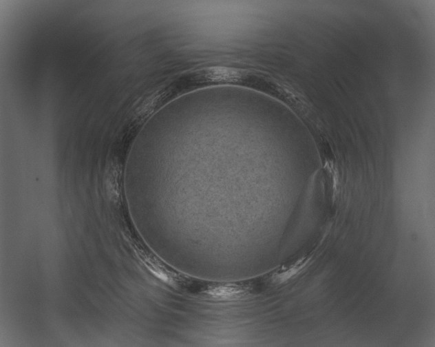X0000054360325200508011227