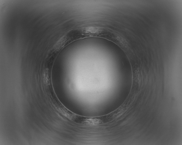 X0000054360328200508011227