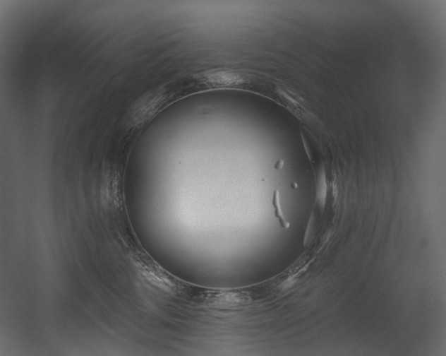 X0000054360330200508011227