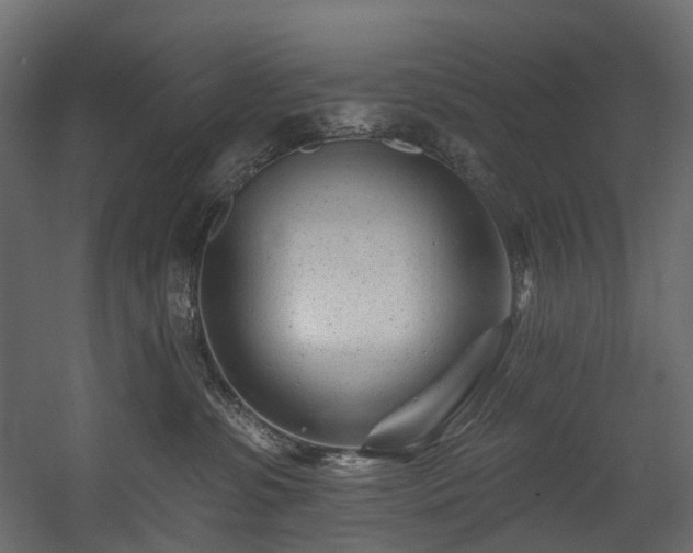 X0000054360331200508011227