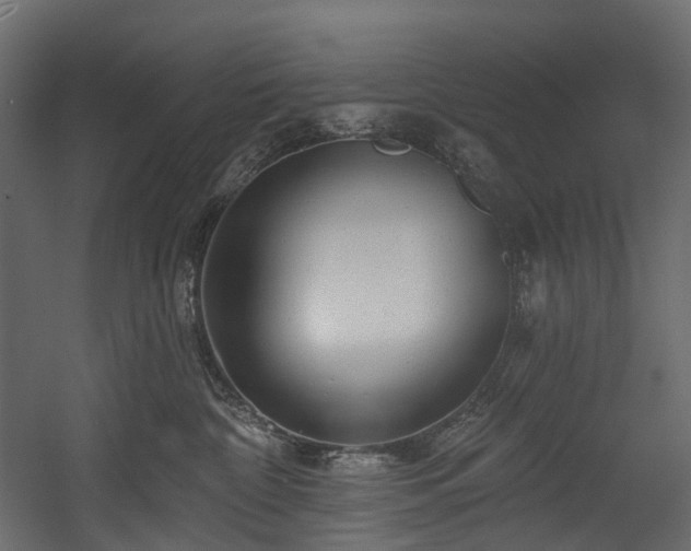 X0000054360332200508011227