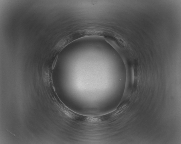 X0000054360333200508011227