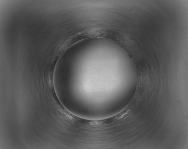 X0000054360335200508011227