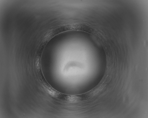 X0000054360336200508011227
