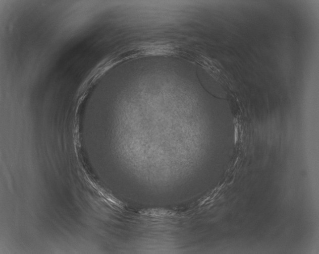 X0000054360339200508011226