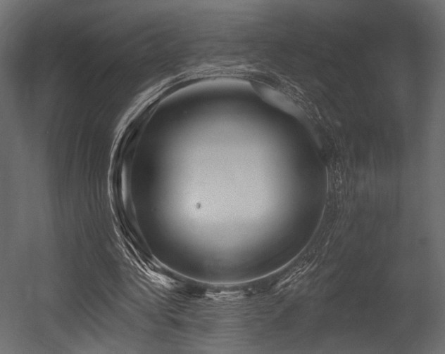 X0000054360340200508011226