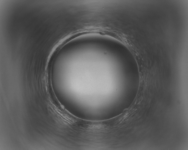 X0000054360342200508011226
