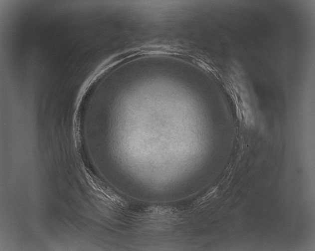 X0000054360343200508011226
