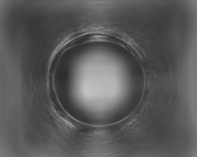 X0000054360344200508011226