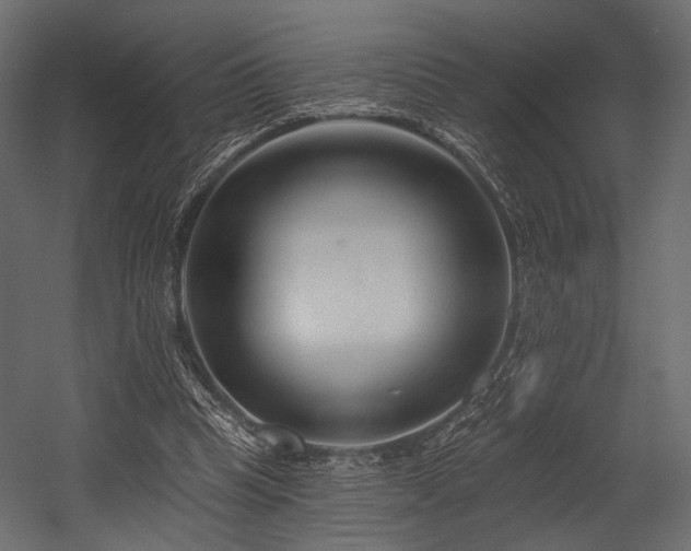 X0000054360345200508011226
