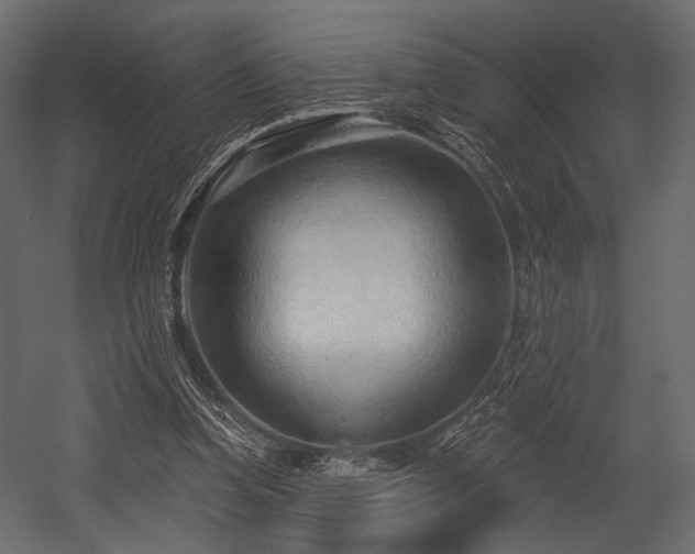 X0000054360346200508011226