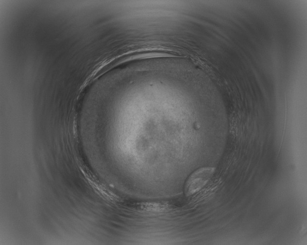 X0000054360347200508011226