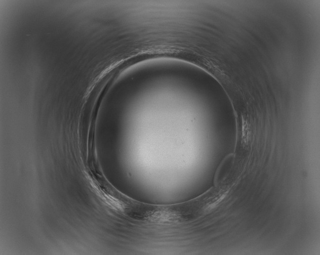 X0000054360348200508011226