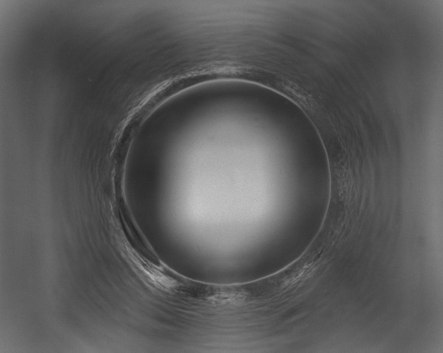 X0000054360350200508011226