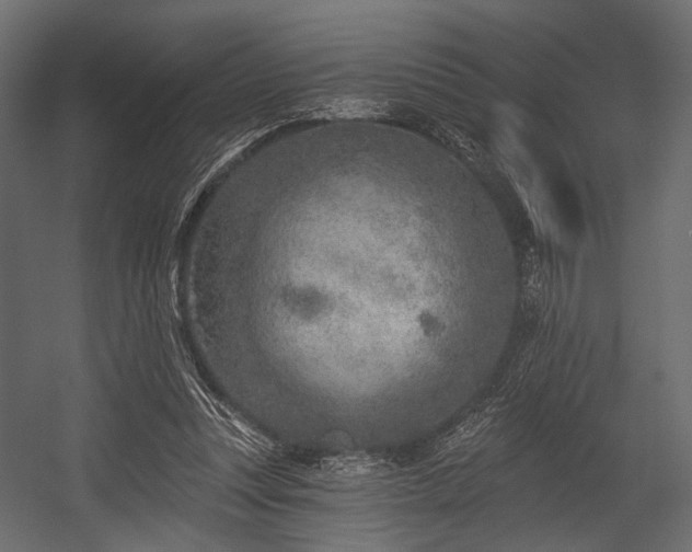 X0000054360351200508011226