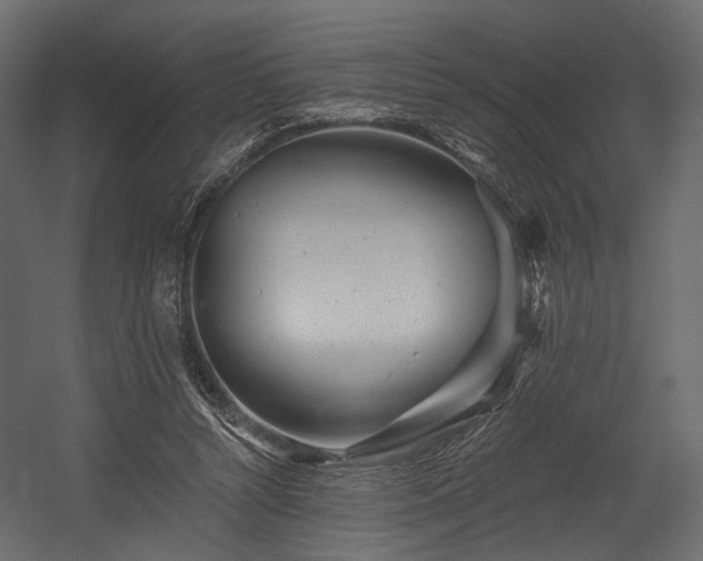 X0000054360352200508011226