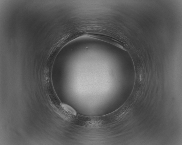 X0000054360356200508011226