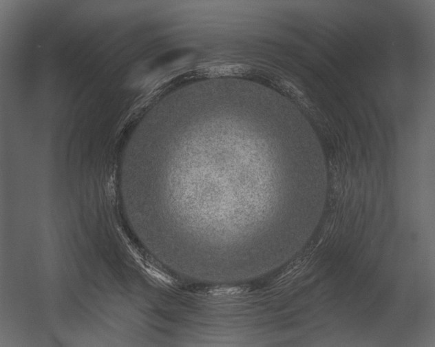 X0000054360357200508011226