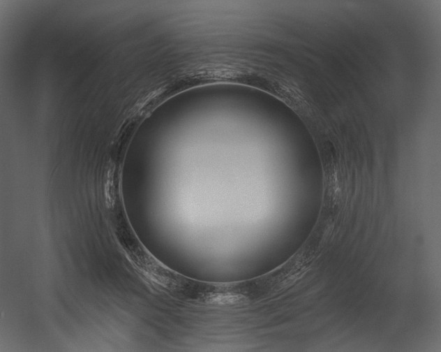 X0000054360360200508011226