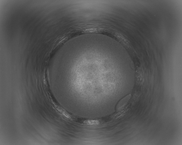 X0000054360361200508011226