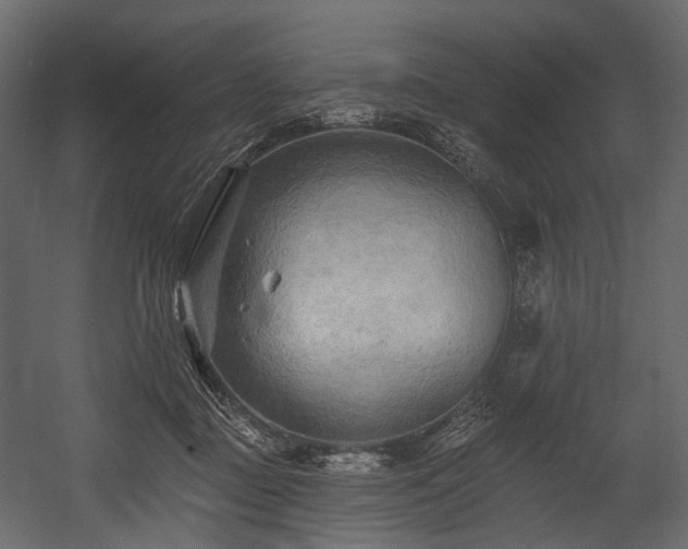 X0000054360363200508011226