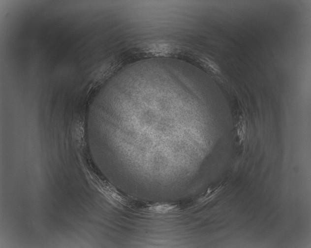 X0000054360365200508011226
