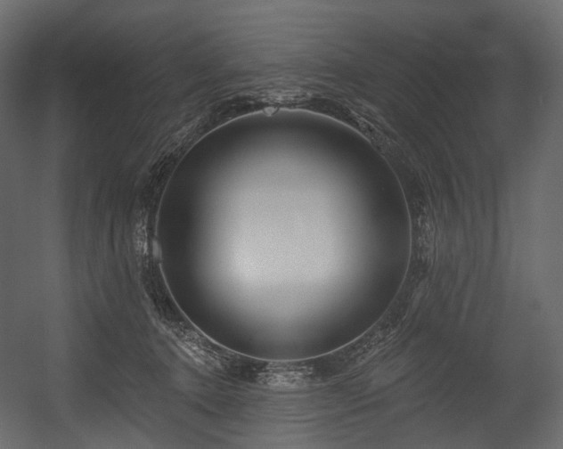 X0000054360368200508011227