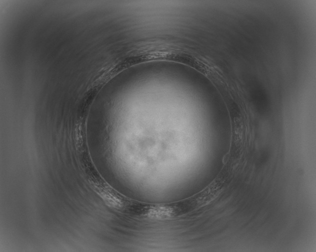 X0000054360369200508011227