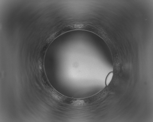 X0000054360374200508011227