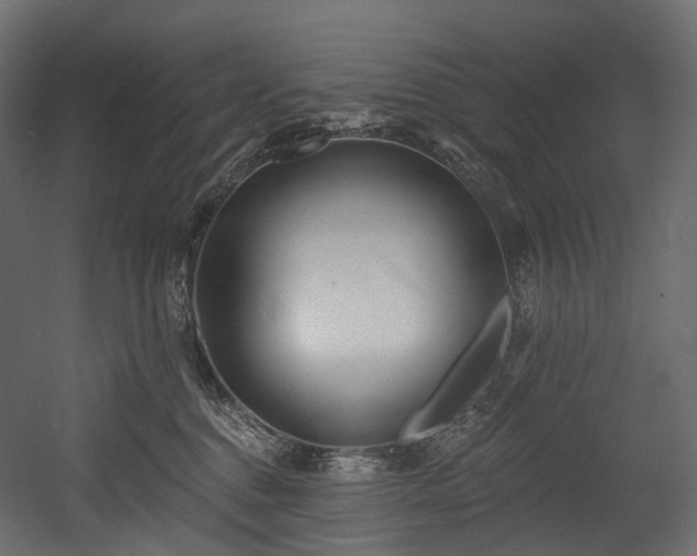 X0000054360376200508011227