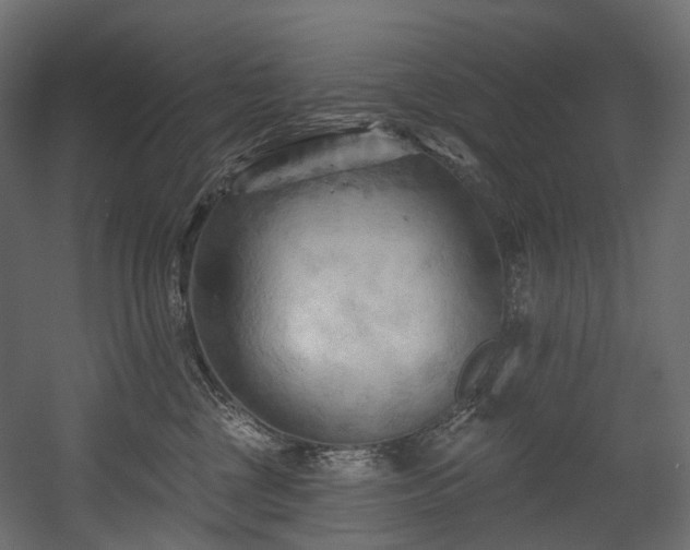 X0000054360377200508011227