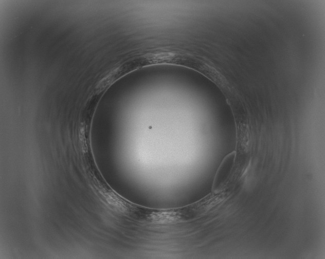 X0000054360378200508011227
