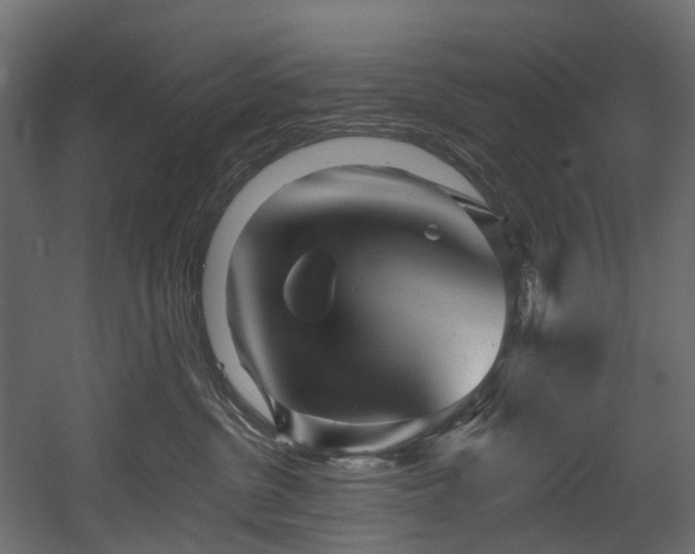 X0000054360380200508011227