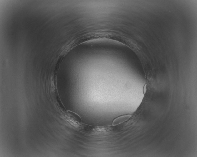 X0000054360381200508011227